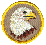 2 inch round embroidered patch Bald Eagle school, team mascot